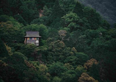 Het geheim van de mensen uit Okinawa